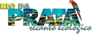 Grupo Rio da Prata